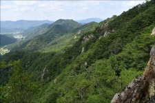 장령산 - 토요 산행 사진방 - 부산 푸르나 산악회 장령산