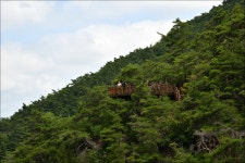 장령산 - 토요 산행 사진방 - 부산 푸르나 산악회 장령산