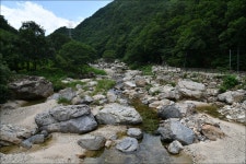 장령산 - 토요 산행 사진방 - 부산 푸르나 산악회 장령산
