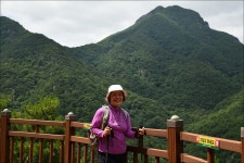 장령산 - 토요 산행 사진방 - 부산 푸르나 산악회 장령산