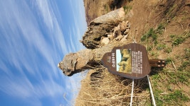 창녕/좌.우골.옥천계곡-화왕산 - 토요 산행 사진방 - 부산 푸르나 산악회 창녕/좌.우골.옥천계곡-화왕산