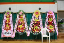 2022 무안황토골배 전국남녀 실버.시니어 배구대회(개회식)-1 - 무안대회 - 생활체육배구대회사진 2022 무안황토골배 전국남녀 실버.시니어... 
