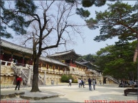 탐방_(주)율원엔지니어링 - 2026년 국내여행 - 동하의 힘찬새발걸음 260327_1)경주 포항여행_경주 늘봄식당 불국사 탐방_(주)율원엔지니어링