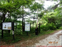 250713_함양 지리산 벽소령_음정마을 임도 벽소령입구 임도 음정마을... 지리산 벽소령_음정마을 임도 벽소령입구 임도 음정마을_첨단산악회