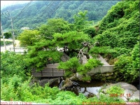 250713_함양 지리산 벽소령_음정마을 임도 벽소령입구 임도 음정마을... 지리산 벽소령_음정마을 임도 벽소령입구 임도 음정마을_첨단산악회