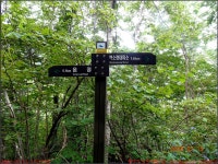 250713_함양 지리산 벽소령_음정마을 임도 벽소령입구 임도 음정마을... 지리산 벽소령_음정마을 임도 벽소령입구 임도 음정마을_첨단산악회