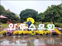 251108_완도 수목원_매표소 산림전시관 아열대온실 암석원 산림박물관 사계정원 산림전시관_아내와 함께 - 2025년 국내여행 - 동하의... 
