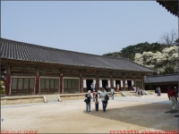 탐방_(주)율원엔지니어링 - 2026년 국내여행 - 동하의 힘찬새발걸음 260327_1)경주 포항여행_경주 늘봄식당 불국사 탐방_(주)율원엔지니어링