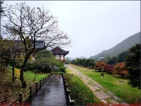 251108_완도 수목원_매표소 산림전시관 아열대온실 암석원 산림박물관 사계정원 산림전시관_아내와 함께 - 2025년 국내여행 - 동하의... 
