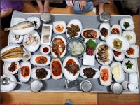 250830_영광 고우회 86차 정기모임_함평전주식당 백수스톤398카페 영광동락식당 법성영팔이펜션 - 고우회 - 동하의 힘찬새발걸음 250830_영광... 