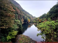 251108_완도 수목원_매표소 산림전시관 아열대온실 암석원 산림박물관 사계정원 산림전시관_아내와 함께 - 2025년 국내여행 - 동하의... 