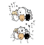 고양이에 둘러싸인 농담곰 - 2021년 - 농담곰 고양이에 둘러싸인 농담곰