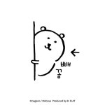 빼꼼 곰 - 비플랏 공식짤/만화 - 농담곰 빼꼼 곰