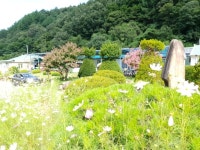 아담하고 예쁜 정원과 산속에 자리잡은 효도마을 - 카페 앨범 - 문경효도마을요양원 아담하고 예쁜 정원과 산속에 자리잡은 효도마을