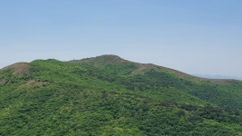 천성2봉 - 개인 산행 앨범 - 신 양산박 산악회 천성2봉