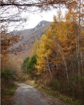 (완료) 하늘길 운탄고도와 백운산 1426 - [일반 종주] 5/3일 속리산 환종주 - 수원종주산악회 (완료) 하늘길 운탄고도와 백운산 1426