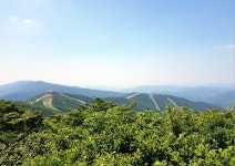 (완료) 하늘길 운탄고도와 백운산 1426 - [일반 종주] 5/3일 속리산 환종주 - 수원종주산악회 (완료) 하늘길 운탄고도와 백운산 1426