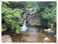 지리산 반야봉 1732 (길...) - [일반 종주] 후기 및 사진 - 수원종주산악회 지리산 반야봉 1732 (길...)