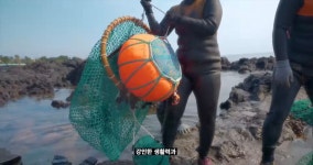제주해녀가 독도 수호에 기여했다는 사실 알고있었어? - 인스티즈(instiz) 이슈 카테고리 제주해녀가 독도 수호에 기여했다는 사실 알고있었어?