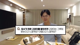 집사가 혀로 고양이를 핥아주면 고양이는 그루밍이라고 느낄까? - 신문보는 밀리 - 밀리토리네 집사가 혀로 고양이를 핥아주면 고양이는... 