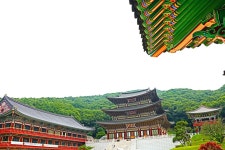 # 대광사 (천태종 ) 사찰내 연곷 입니다. *** 성남시,분당구소재. - 풍경 갤러리 - 새빛 사진동호회 # 대광사 (천태종 ) 사찰내 연곷 입니다.... 