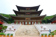 # 대광사 (천태종 ) 사찰내 연곷 입니다. *** 성남시,분당구소재. - 풍경 갤러리 - 새빛 사진동호회 # 대광사 (천태종 ) 사찰내 연곷 입니다.... 