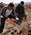 06 동해시 장애인단체총연합회 01 - 자료실 - 묵호중학교총동창회 06 동해시 장애인단체총연합회 01