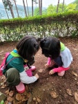신명누리🌿반딧불이야 잘 자라거라~~! - 신명누리반 이야기 - 공립아이누리어린이집 신명누리🌿반딧불이야 잘 자라거라~~!