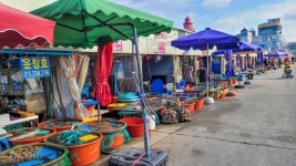 바람 부는 날엔 오이도에 가자 - 해변 산책코스 2.2km, 약 1시간 소요... 바람 부는 날엔 오이도에 가자 - 해변 산책코스 2.2km, 약 1시간 소요