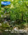 바래길 - 이동면 용소폭포바래길 - 남해바래길 홈페이지 [남해바래길탐방안내센터] 💦한여름 폭염피해서 가기 좋은 이동면 용소폭포 바래길