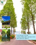 바래길 - 이동면 용소폭포바래길 - 남해바래길 홈페이지 [남해바래길탐방안내센터] 💦한여름 폭염피해서 가기 좋은 이동면 용소폭포 바래길