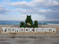 강릉 연곡해변 솔향기 캠핑장 후기 - ★ ··· 하프타임 - 樂soccer 강릉 연곡해변 솔향기 캠핑장 후기