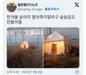한겨울 송아지 얼어죽지말라구 숨숨집도 만들어줌 - ★ ··· 하프타임 - 樂soccer 한겨울 송아지 얼어죽지말라구 숨숨집도 만들어줌