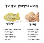 잉어빵과 붕어빵의 차이 - ★ ··· 하프타임 - 樂soccer 잉어빵과 붕어빵의 차이