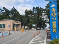 강릉 연곡해변 솔향기 캠핑장 후기 - ★ ··· 하프타임 - 樂soccer 강릉 연곡해변 솔향기 캠핑장 후기