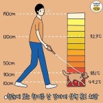 한눈에 보는 한여름 낮 강아지 산책 온도 체감.jpg - ★ ··· 하프타임 - 樂soccer 한눈에 보는 한여름 낮 강아지 산책 온도 체감.jpg