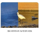 합성 아님 - ★ ··· 하프타임 - 樂soccer 합성 아님