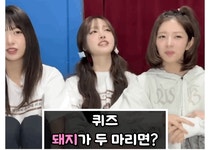돼지가 두마리면???? - ★ ··· 하프타임 - 樂soccer 돼지가 두마리면????