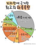 뇌 과학에 근거한 최고의 하루 루틴.jpg - ★ ··· 하프타임 - 樂soccer 뇌 과학에 근거한 최고의 하루 루틴.jpg