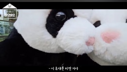 쌍둥이 판다 이름별로 예행 연습하는 강바오 ㅋㅋㅋㅋㅋ - 웃긴자료 ‥‥‥‥‥、 - 도탁스 (DOTAX) 쌍둥이 판다 이름별로 예행 연습하는 강바오... 