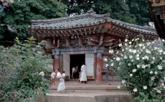 1968년 당시 해인사 삼성각 모습 - ★ ··· 하프타임 - 樂soccer 1968년 당시 해인사 삼성각 모습