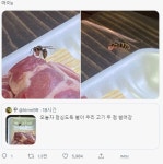 벌이 날라와서 고기 썰어서 훔쳐감.jpg - 웃긴자료 ‥‥‥‥‥、 - 도탁스 (DOTAX) 벌이 날라와서 고기 썰어서 훔쳐감.jpg
