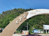 인천 승봉도 백패킹 후기(26.6.23-24) - ★ ··· 하프타임 - 樂soccer 인천 승봉도 백패킹 후기(26.6.23-24)