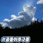 전세계에 실제로 나타났던 특이한 구름들.jpg - ★ ··· 하프타임 - 樂soccer 전세계에 실제로 나타났던 특이한 구름들.jpg