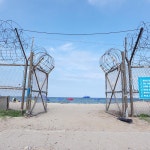 남한 최북단 해수욕장 - 웃긴자료 ‥‥‥‥‥、 - 도탁스 (DOTAX) 남한 최북단 해수욕장