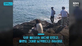 천연기념물인데…제주 해안서 포착된 중국인 충격 장면 - ★ ··· 하프타임 - 樂soccer 천연기념물인데…제주 해안서 포착된 중국인 충격 장면