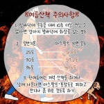 한눈에 보는 한여름 낮 강아지 산책 온도 체감.jpg - ★ ··· 하프타임 - 樂soccer 한눈에 보는 한여름 낮 강아지 산책 온도 체감.jpg
