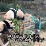 판다월드🐼에 나타난 터키 아이스크림 아저씨 - ★ ··· 하프타임 - 樂soccer 판다월드🐼에 나타난 터키 아이스크림 아저씨