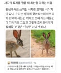 사자가 토끼를 잡을때 최선을 다하는 이유 - ★ ··· 하프타임 - 樂soccer 사자가 토끼를 잡을때 최선을 다하는 이유