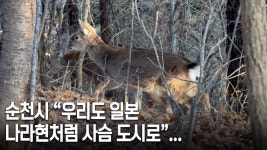 뜬금없는 순천시 근황 - ★ ··· 하프타임 - 樂soccer 뜬금없는 순천시 근황